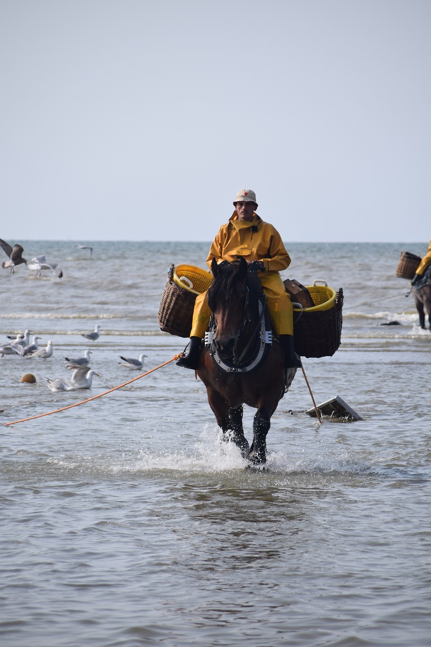 Belgian Coast Adventure: Oostduinkerke, Dunkirk, and Ostend