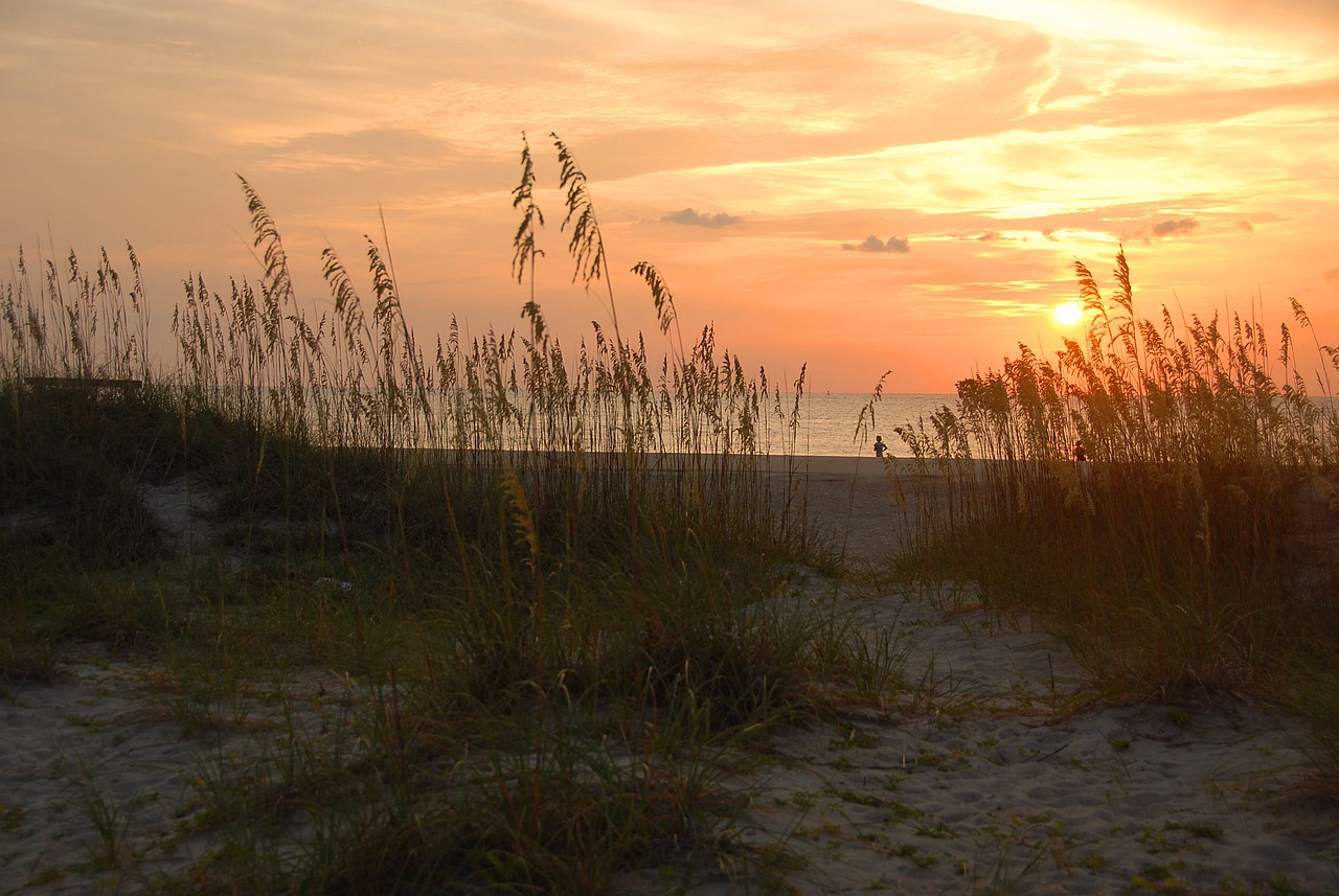 5-Day Tybee Island and Savannah Adventure