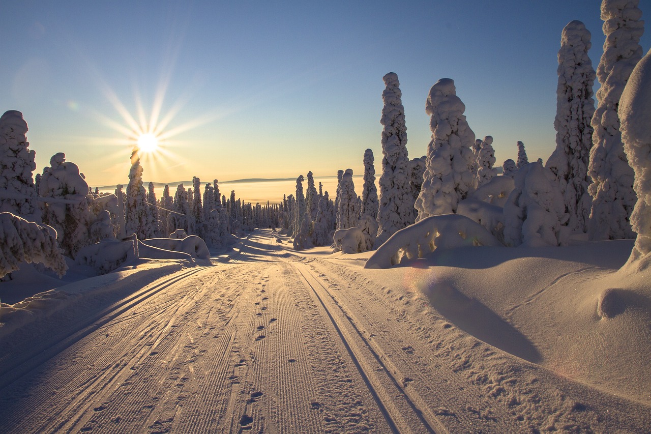 Aventure Hivernale en Laponie Finlandaise