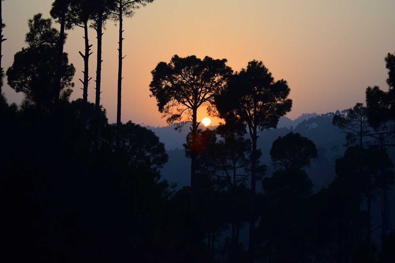 Scenic 3-Day Getaway in Murree, Pakistan