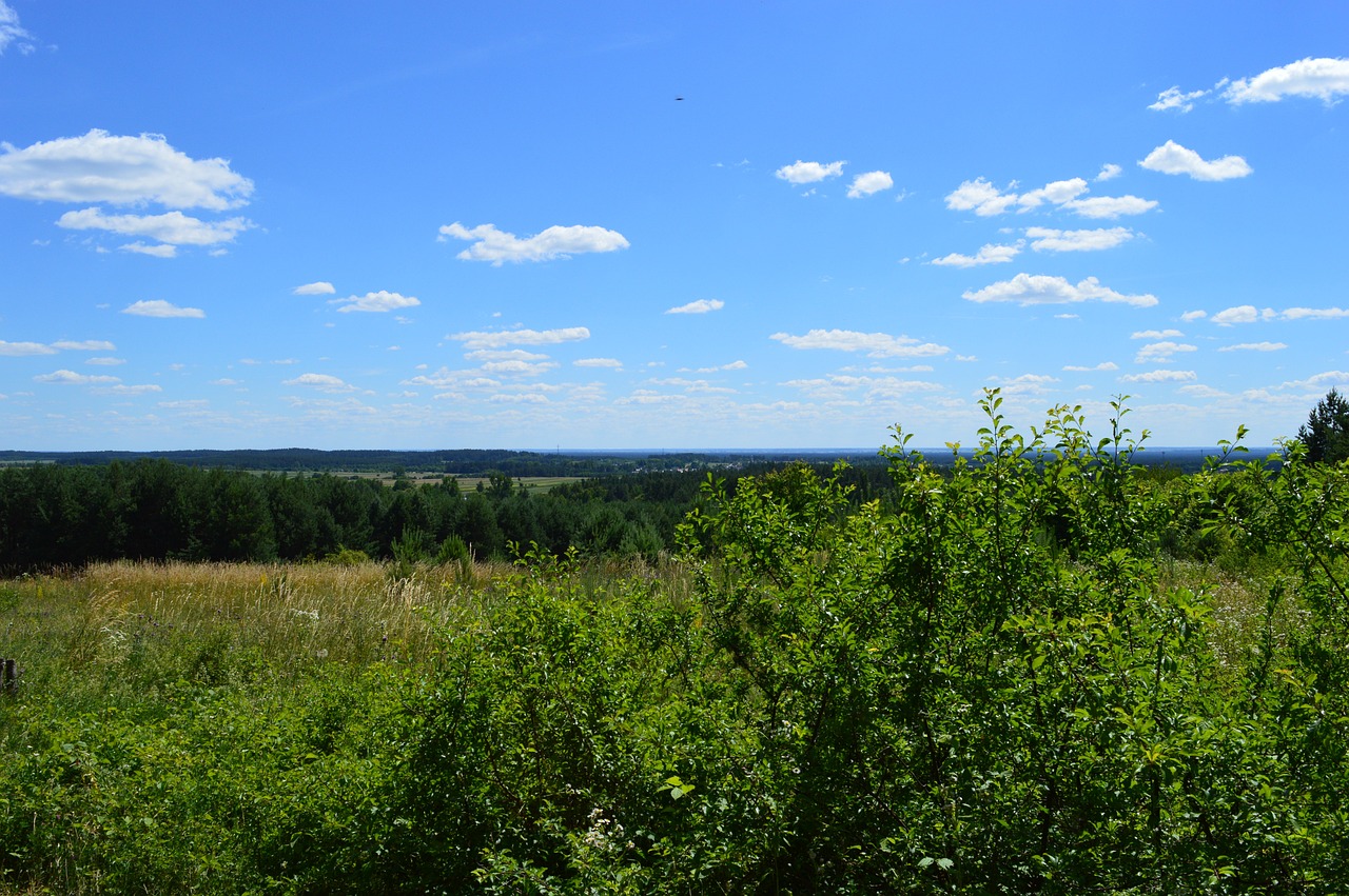 Culinary Delights and Nature's Beauty in Roztocze, Poland