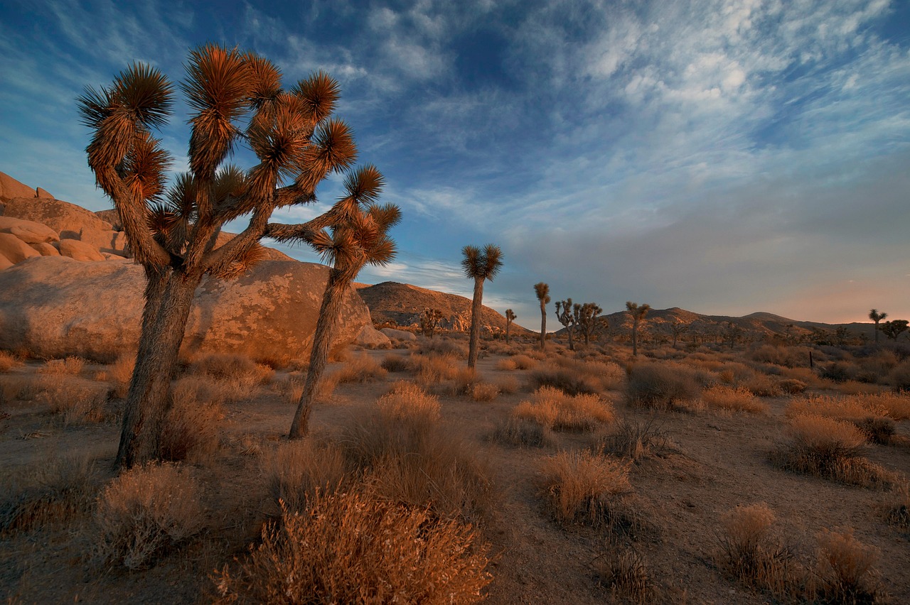 Culinary and Cultural Delights of Mojave, California