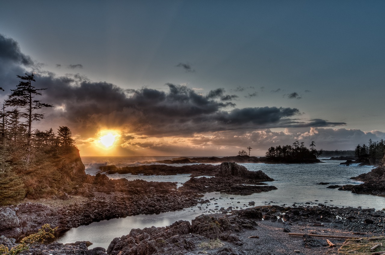 Culinary Delights of Ucluelet in a Day