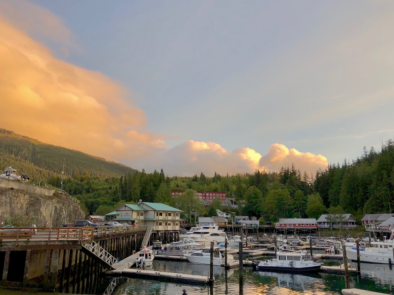 Scenic 5-Day Adventure in Telegraph Cove and Beyond