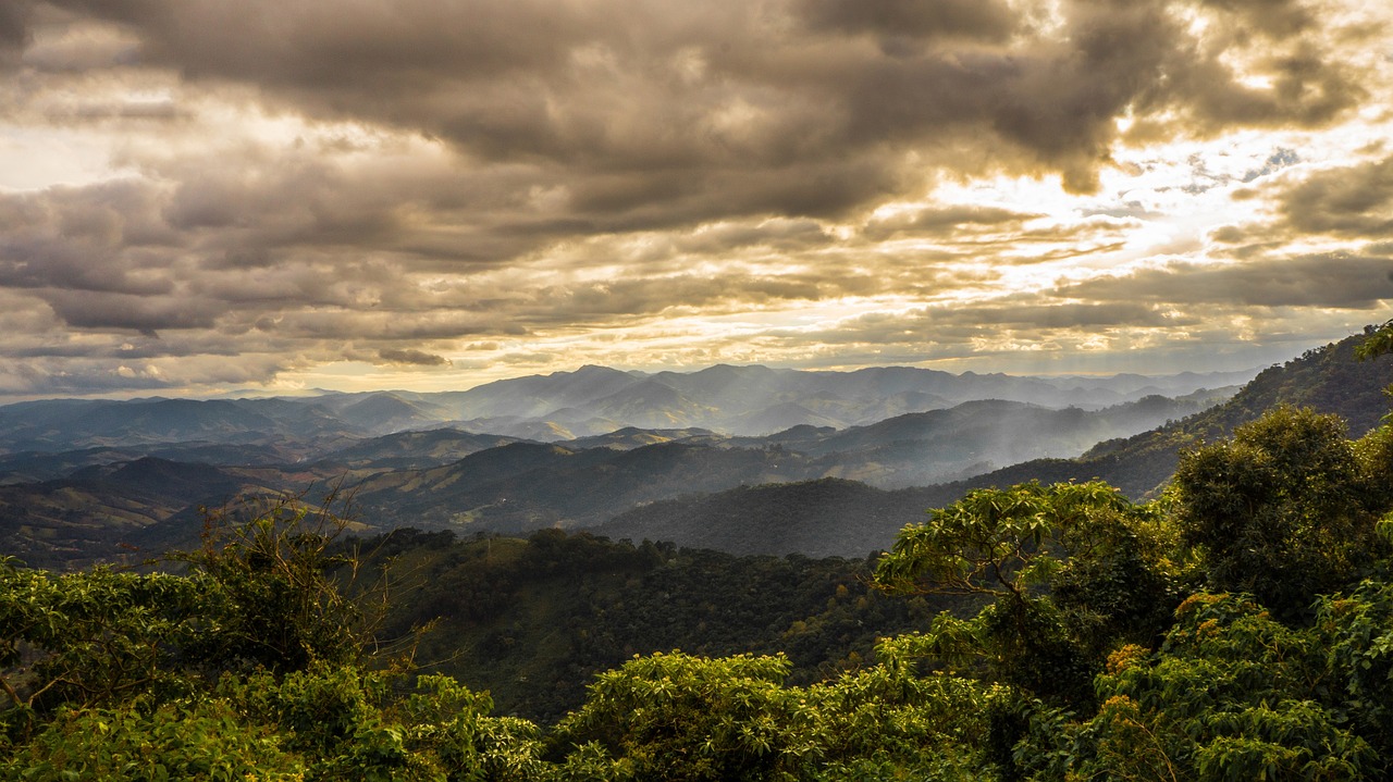 Explorando a Natureza e a Gastronomia em Campos do Jordão