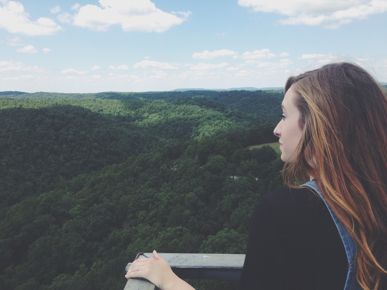 Ozark Adventure: Forest, Food, and Fun