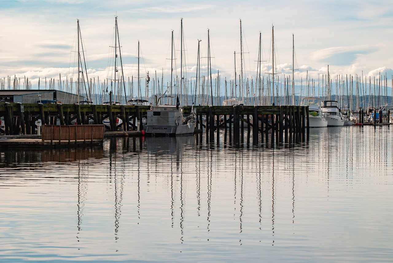 Nature, Paddle, and Culinary Delights in Everett, Washington