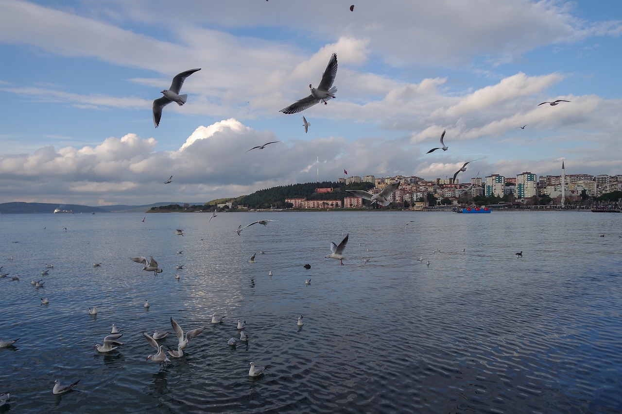 Historical Wonders and Culinary Delights in Canakkale