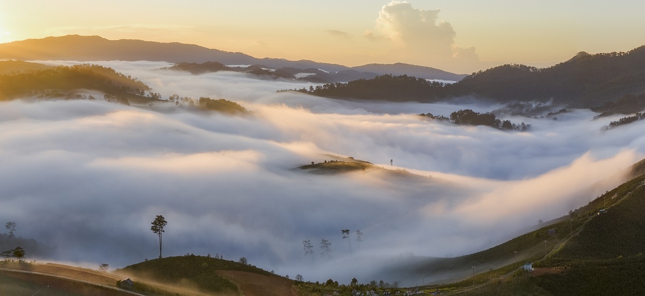 Serene Day in Araku Valley