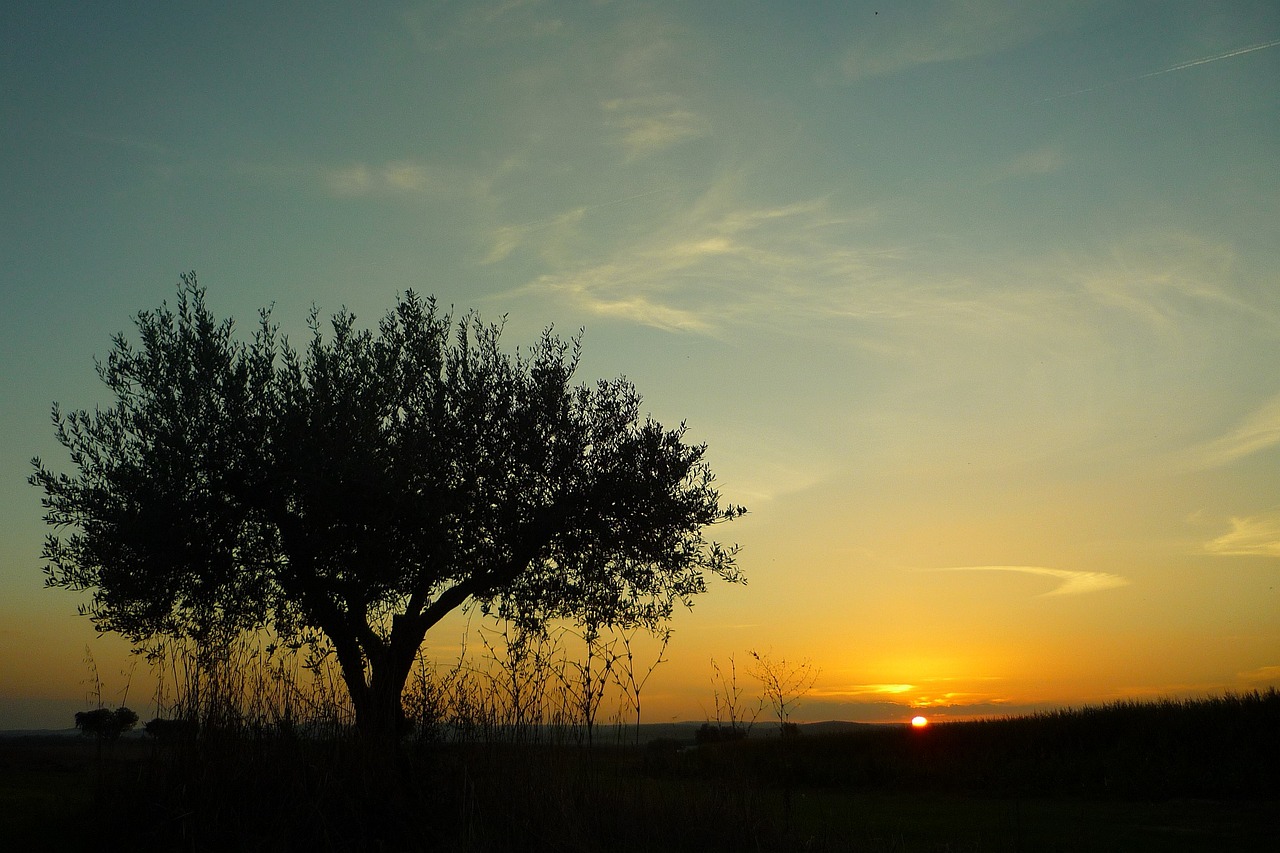 Explorando a Riqueza de Alentejo em 5 Dias