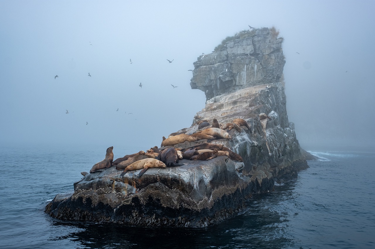 Exploring Nature and Culinary Delights on Gabriola Island