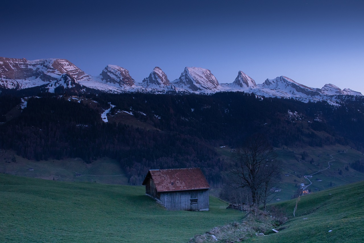 Swiss Alpine Adventure: Lucerne, Grindelwald, and Interlaken