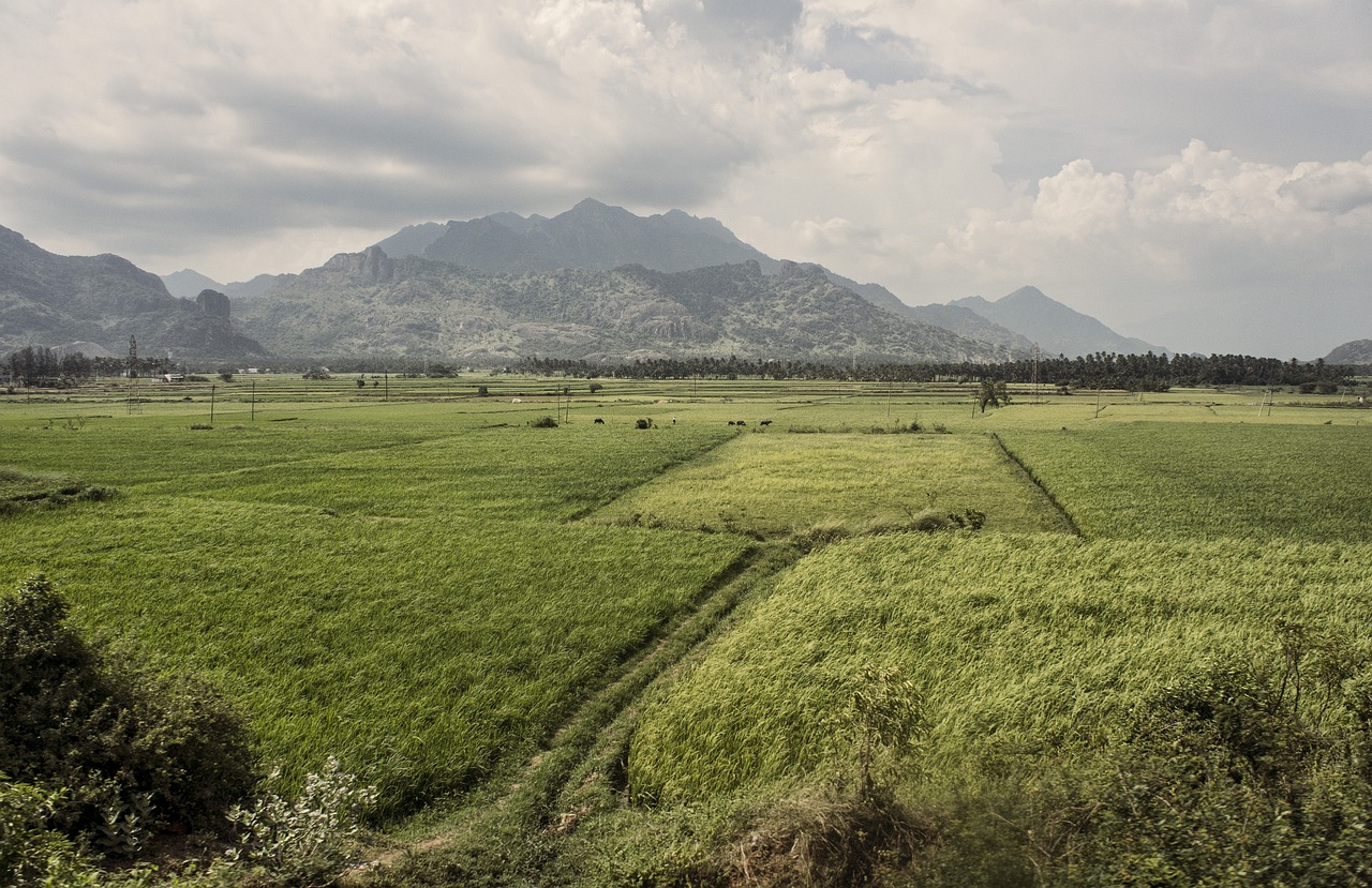 Cultural Delights and Coastal Wonders in Nagercoil, India