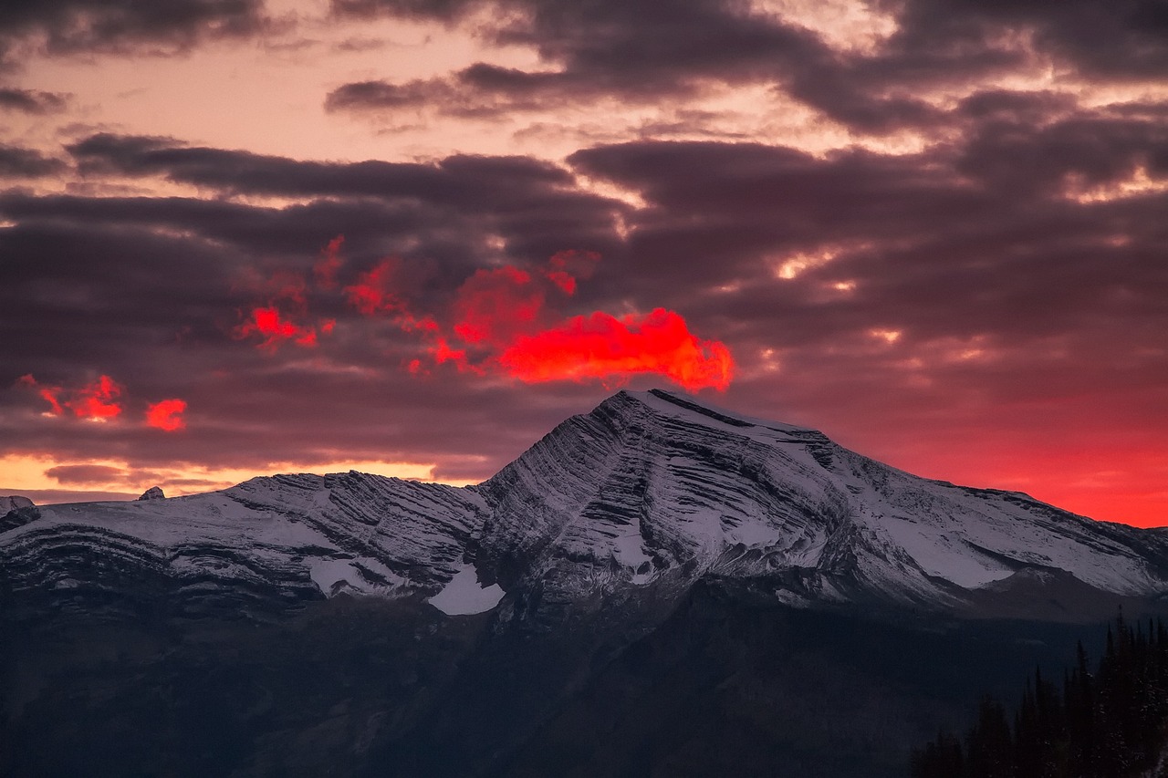 5-Day Glacier National Park Adventure with Local Dining Delights