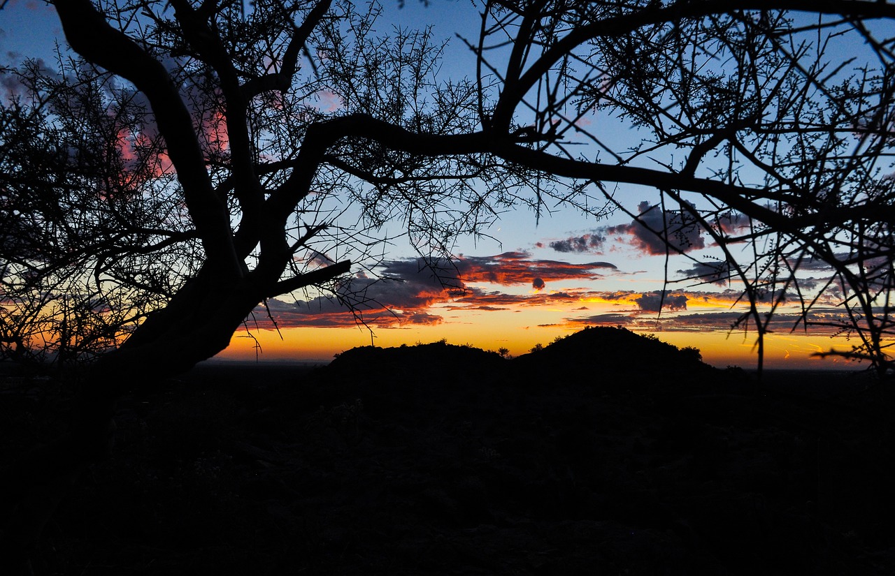 5-Day Phoenix Adventure: Hot Air Balloons to Haunted Tours