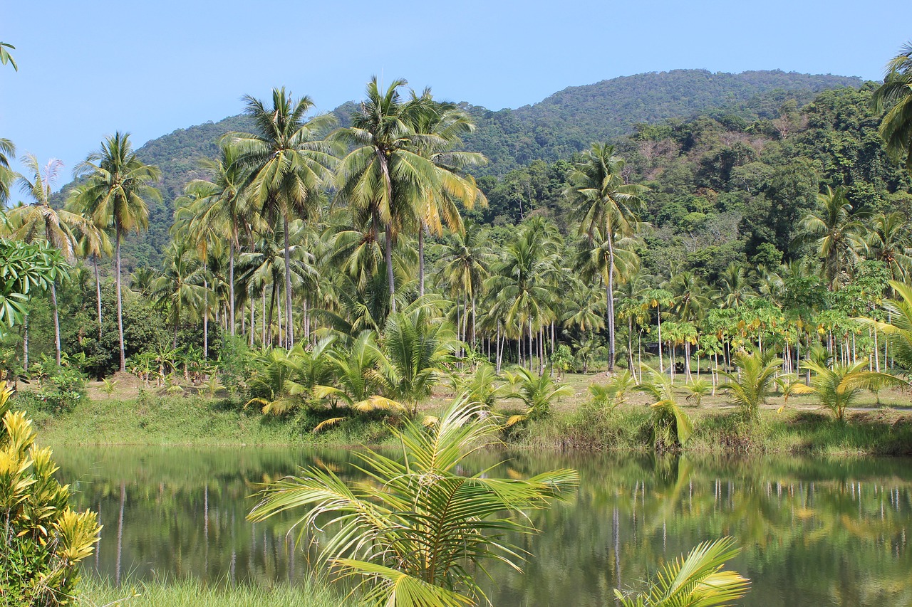 5-Day Culinary Adventure in the Amazon Rainforest