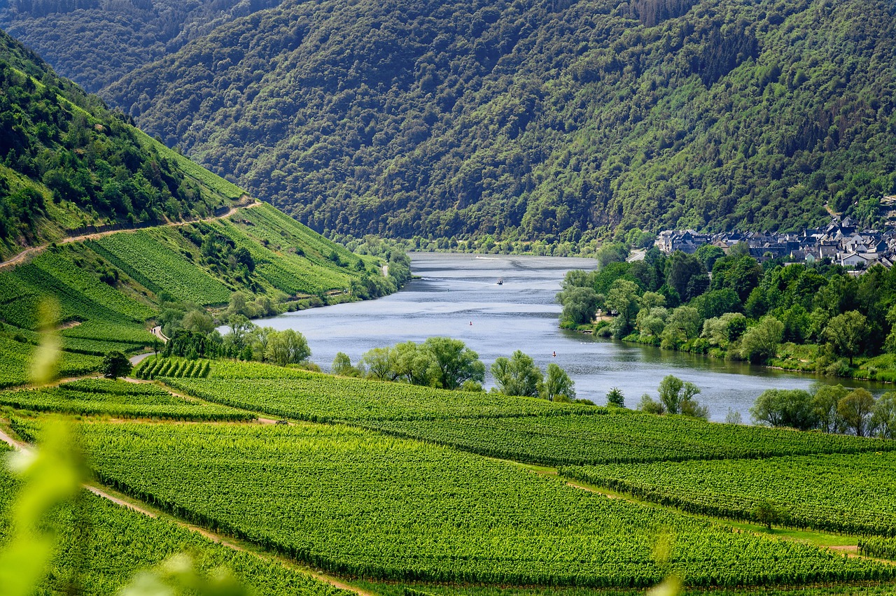 Moselle Valley and Luxembourg Cultural Journey