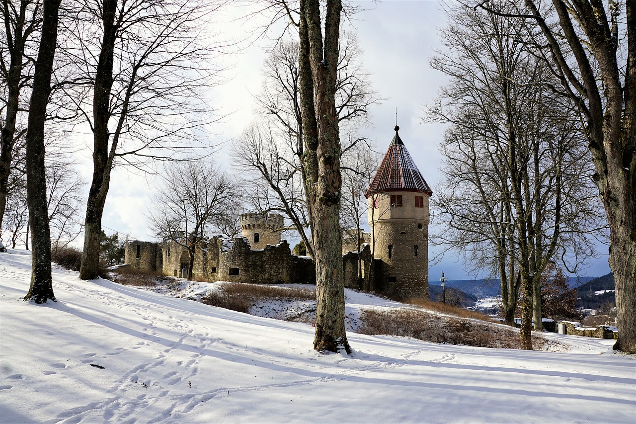 Bodensee Adventure: Scenic Tours and Culinary Delights