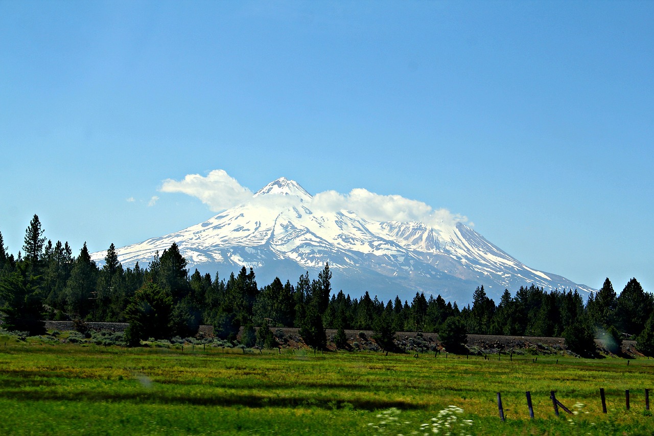 Scenic Delights and Culinary Wonders in Mount Shasta