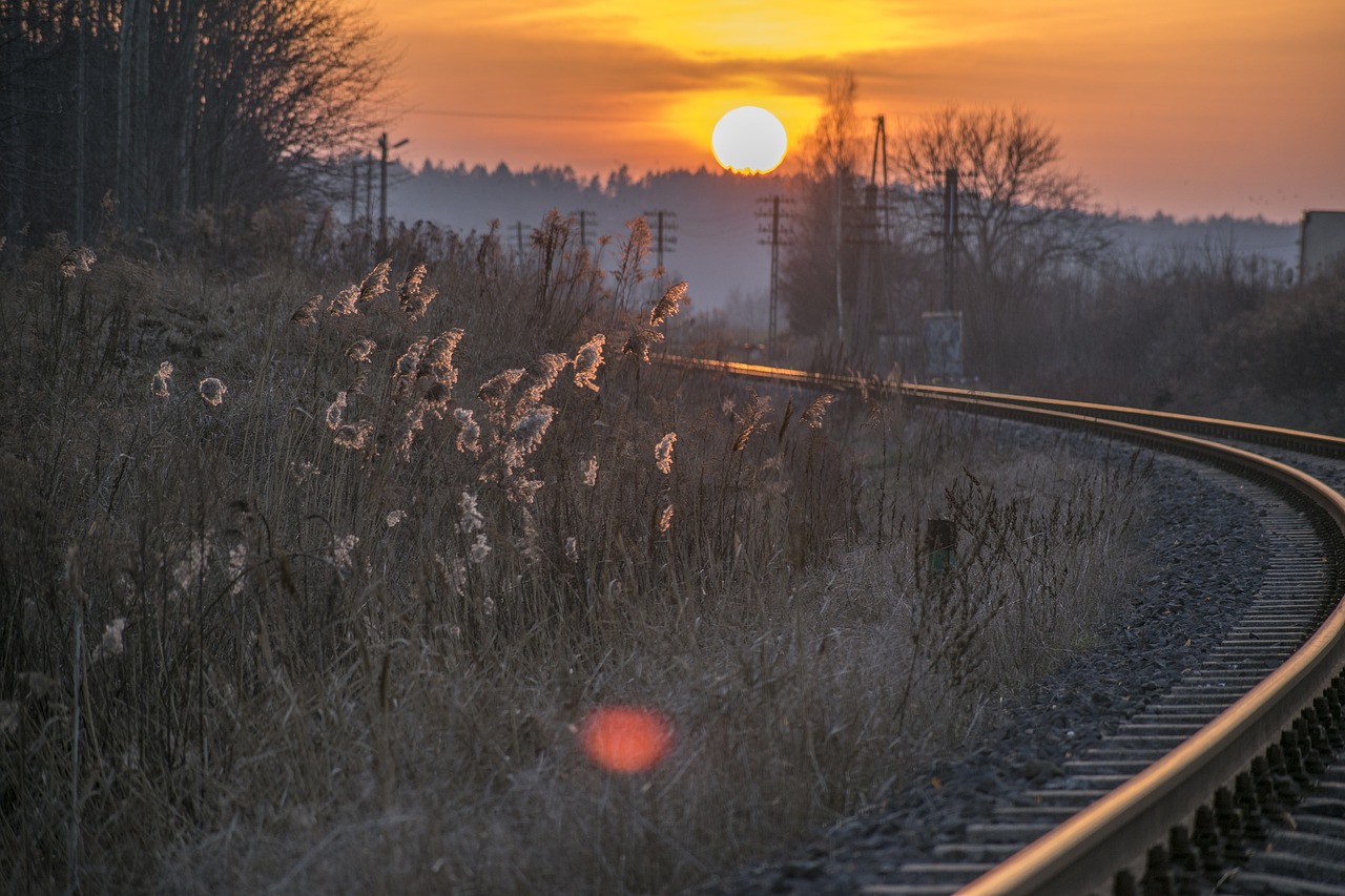 Cultural Delights and Culinary Journey in Ełk, Poland