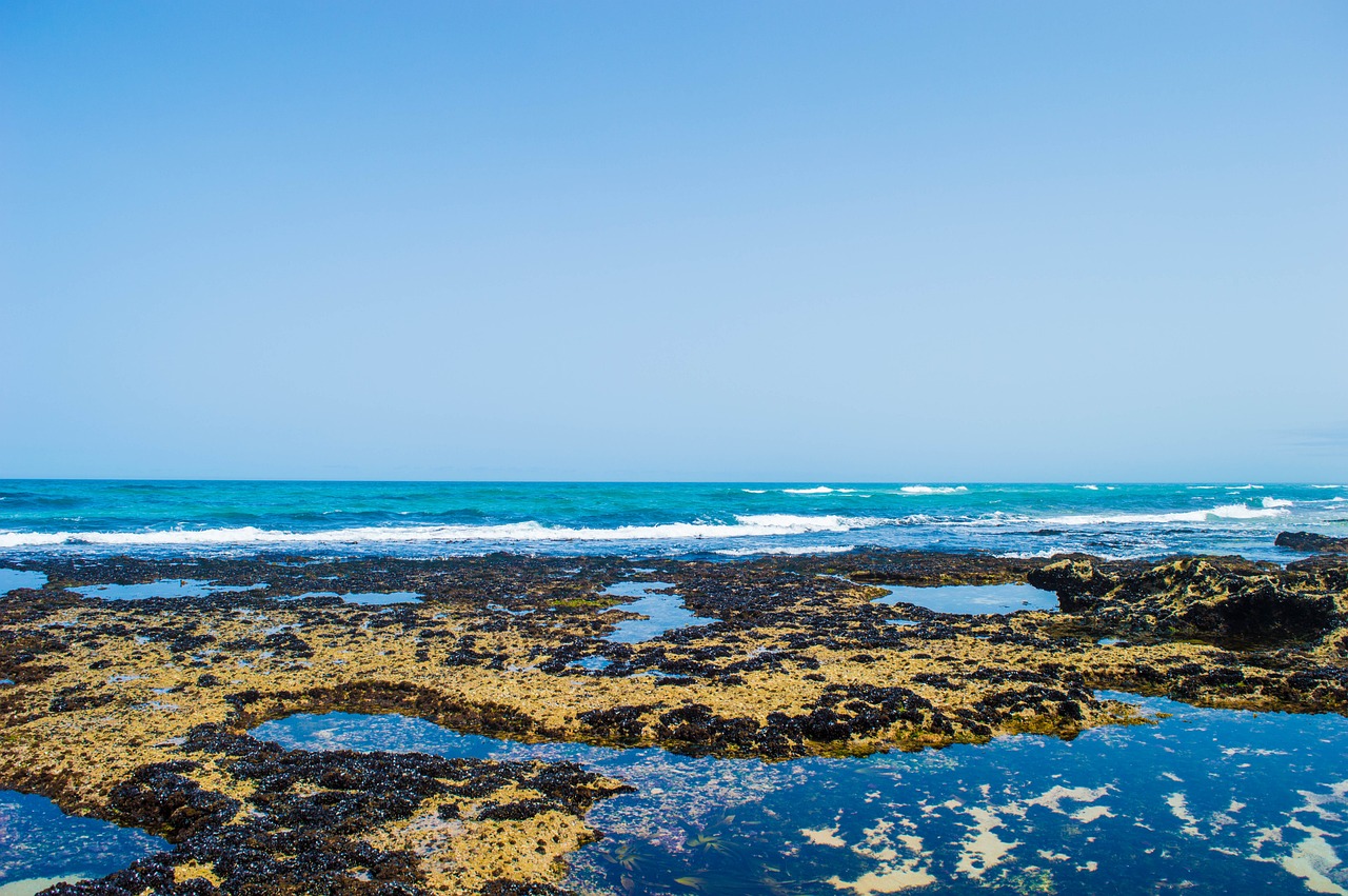 Coastal Delights and Culinary Wonders in Oualidia, Morocco