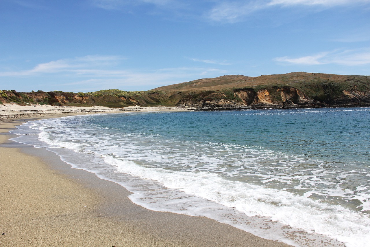 Bodega Bay Coastal Delights