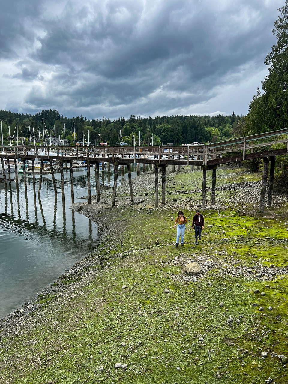 Family-Friendly 5-Day Bainbridge Island Adventure with Winery Visit and Local Cuisine