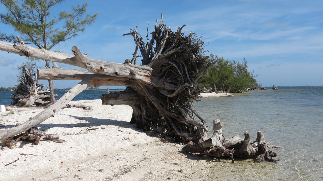 Coastal Delights and Culinary Wonders in São Sebastião, Brazil