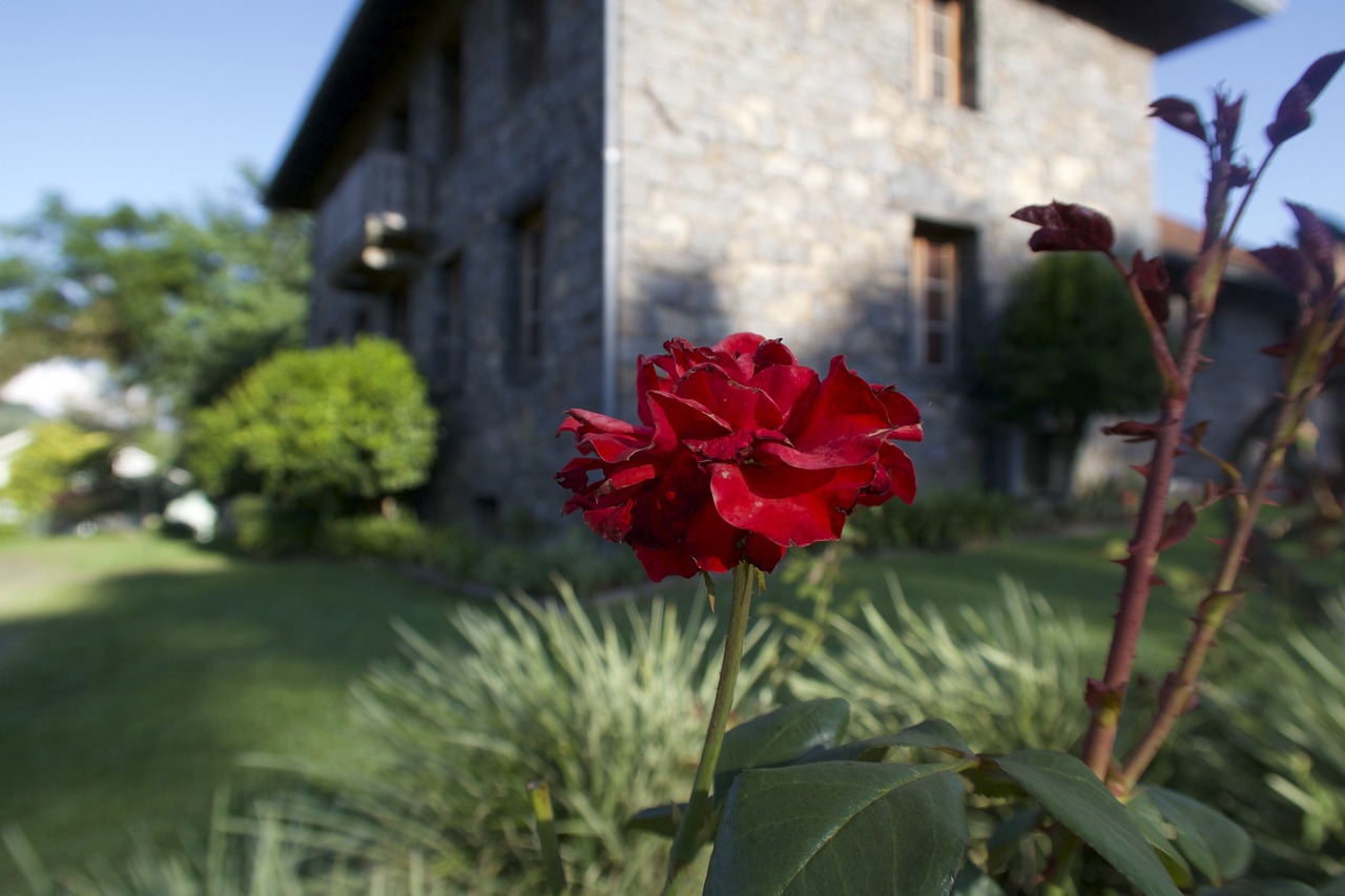 Cultural and Culinary Delights in Bento Gonçalves