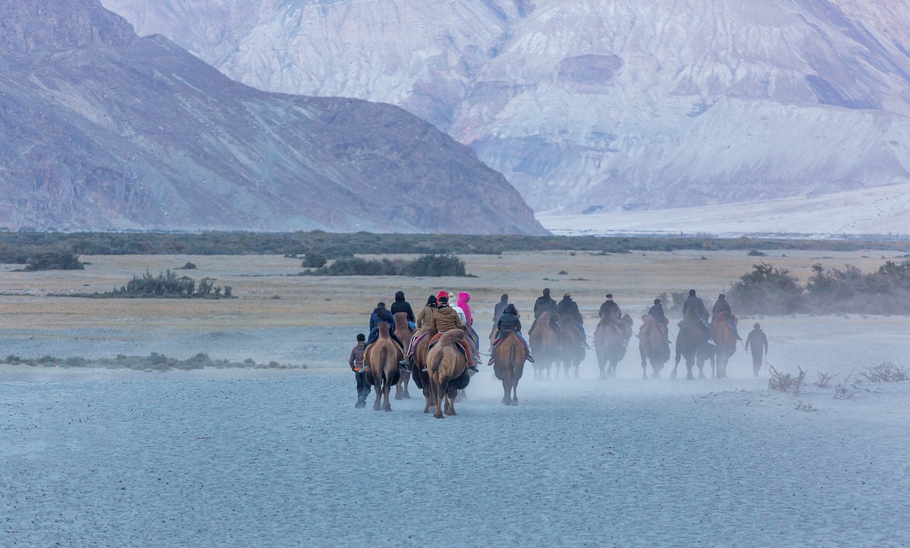 Cultural Delights and Scenic Views in Khardung La, Ladakh