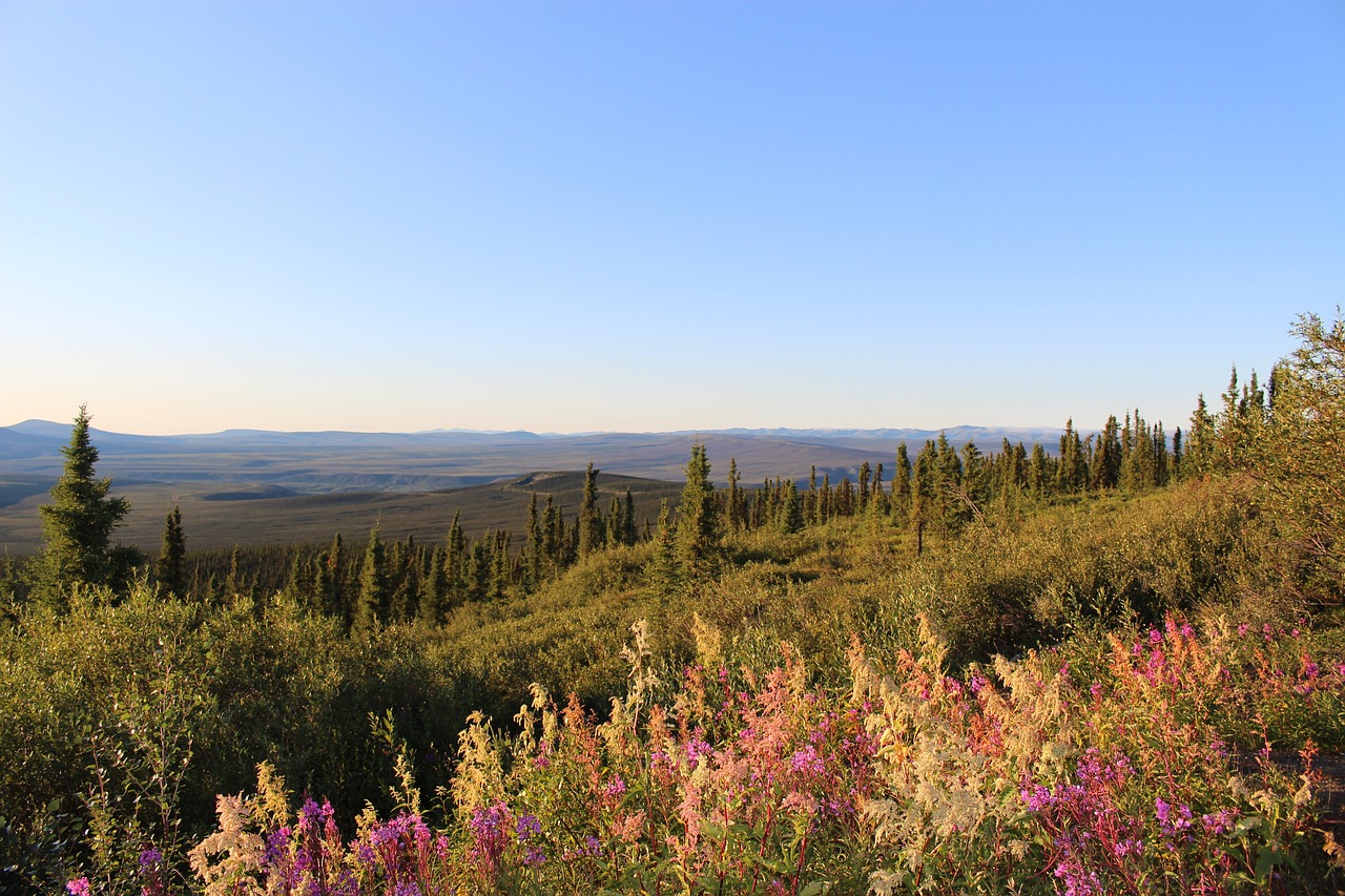 Yukon Adventure: 5-Day Eagle Plains Exploration