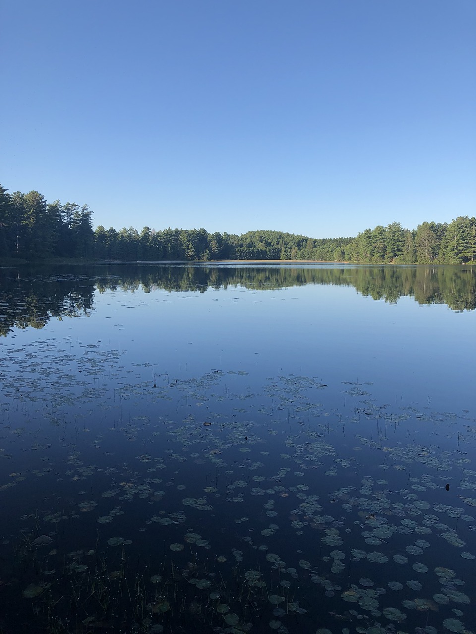 Wilderness Escape: 5-Day Adventure in Algonquin Provincial Park