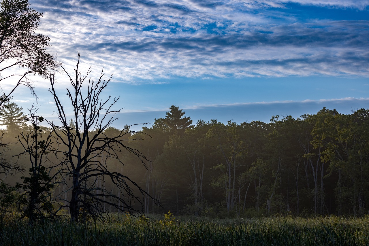 Culinary Adventure in Northern Ontario, Canada