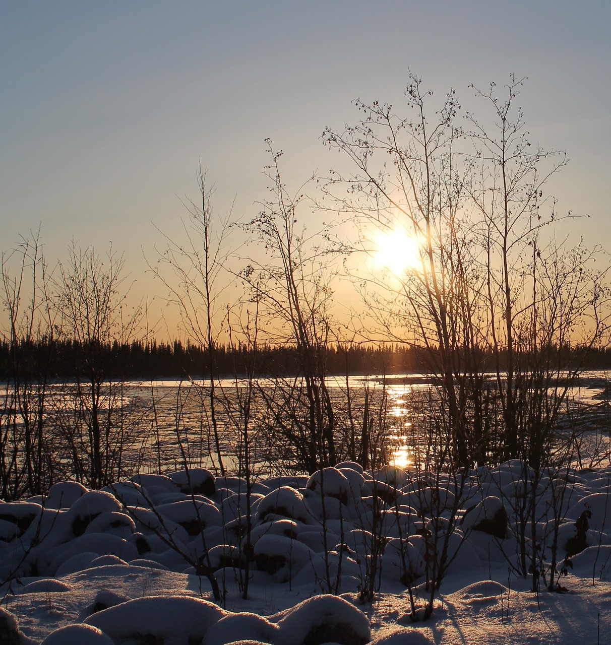 Fairbanks Winter Wonderland and Northern Lights Adventure