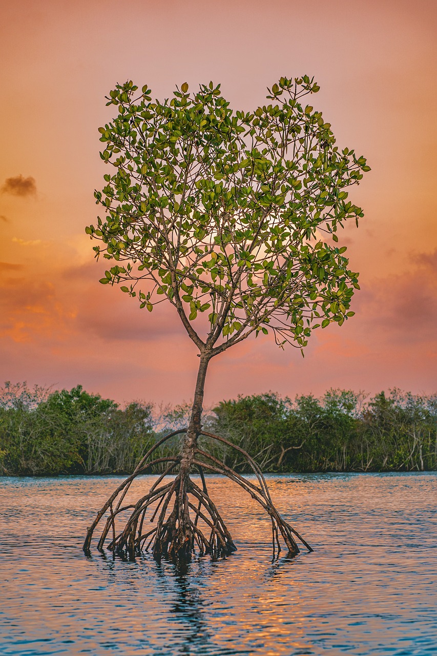 Serene 5-Day Backwater Bliss in Munroe Island