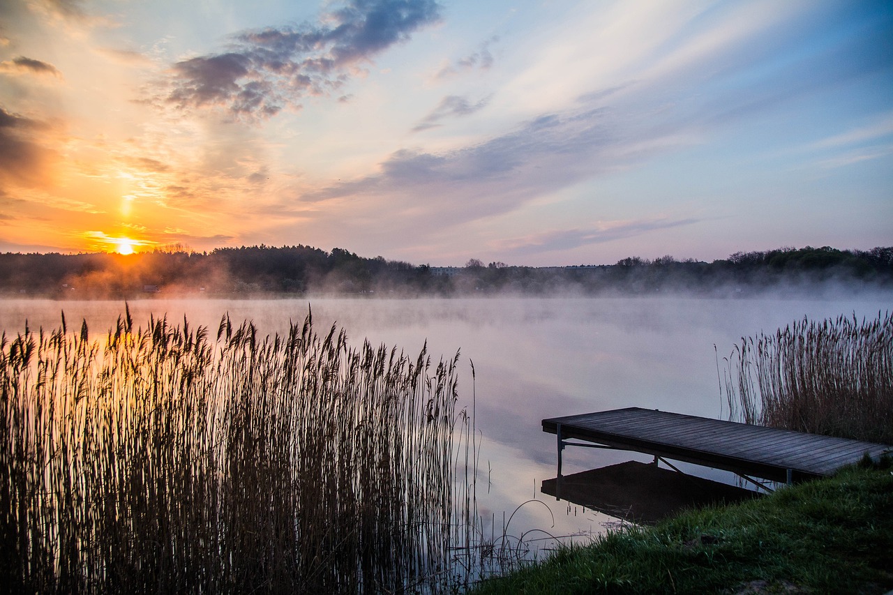 Cultural Delights and Culinary Wonders in Siedlce, Poland