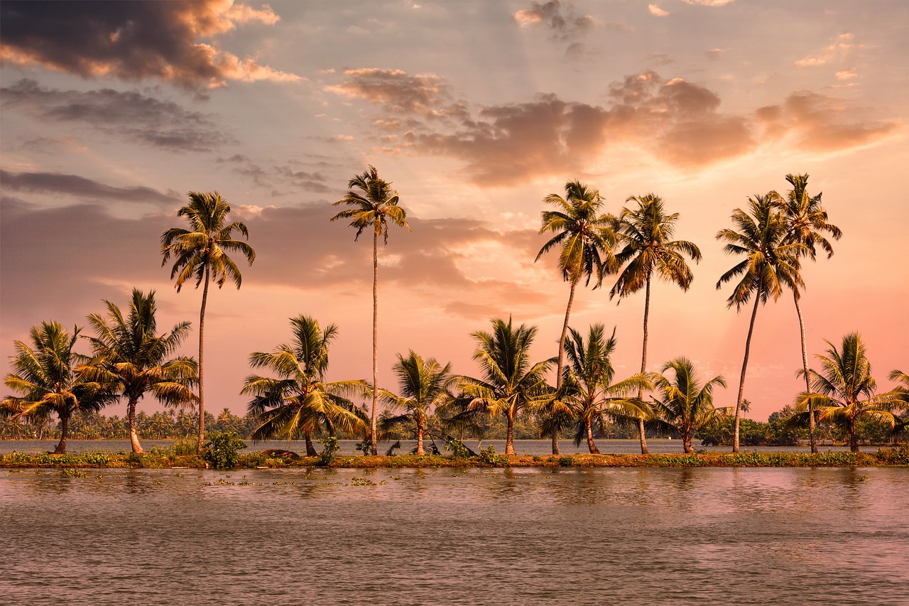 Serene Day in Kumarakom's Backwaters