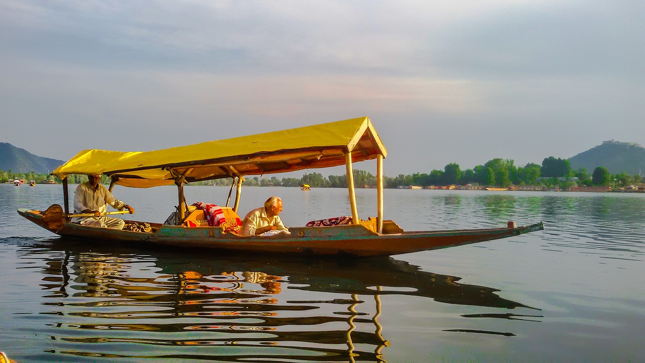 Vegetarian Delights in Srinagar's Scenic Settings