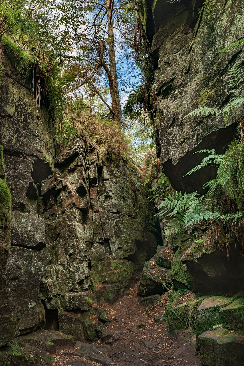 Adventurous Escape to Ausable Chasm, NY