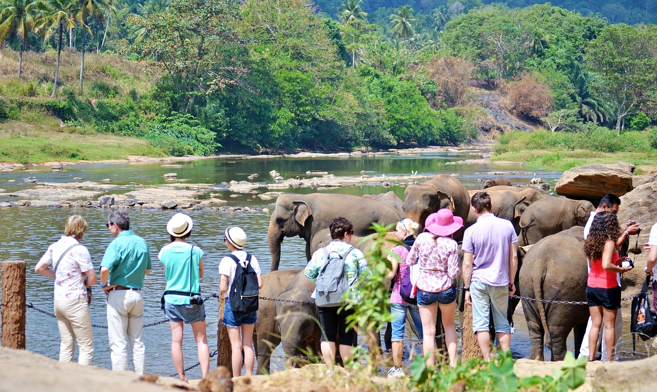 Cultural Wonders and Scenic Delights in Sri Lanka