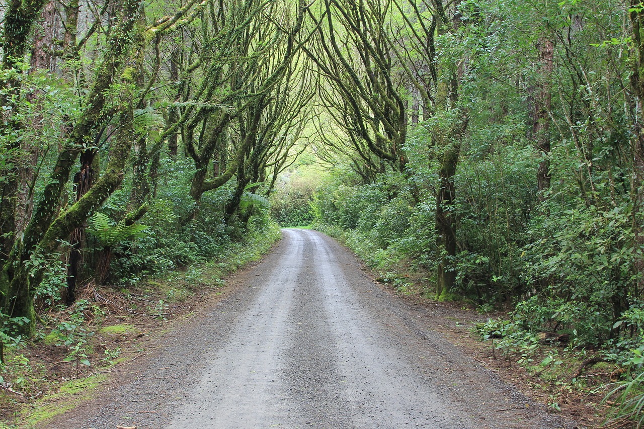 5-day Trip to Wairarapa, New Zealand
