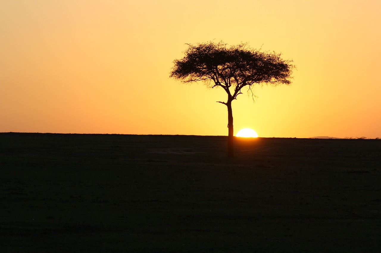 Esperienza di lusso nel Maasai Mara