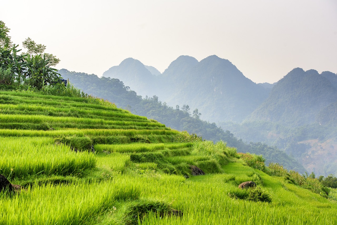 Tranquil Escape to Pu Luong, Vietnam