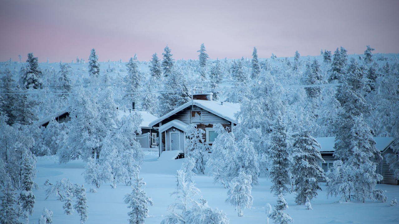 7-Day Saariselkä Winter Adventure with Northern Lights
