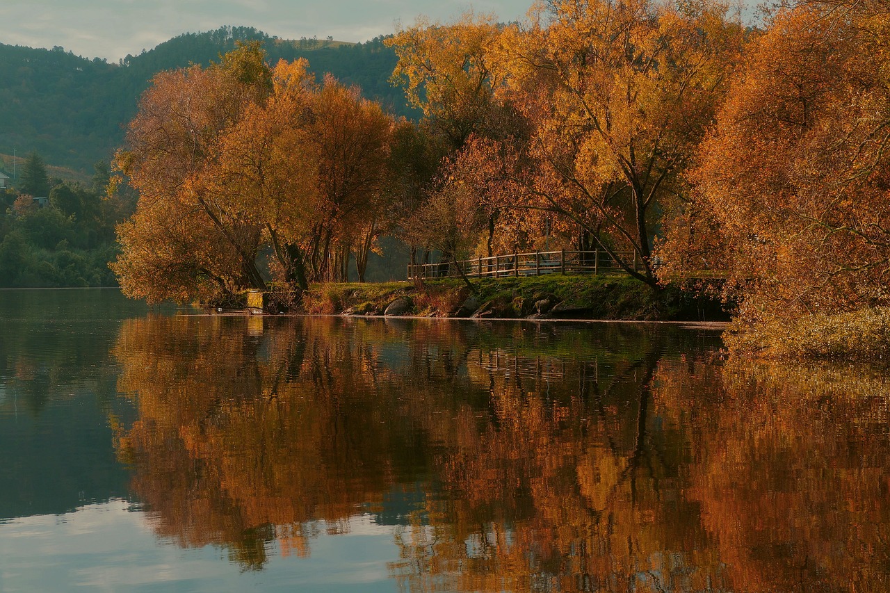 Cultural and Culinary Delights in Ourense