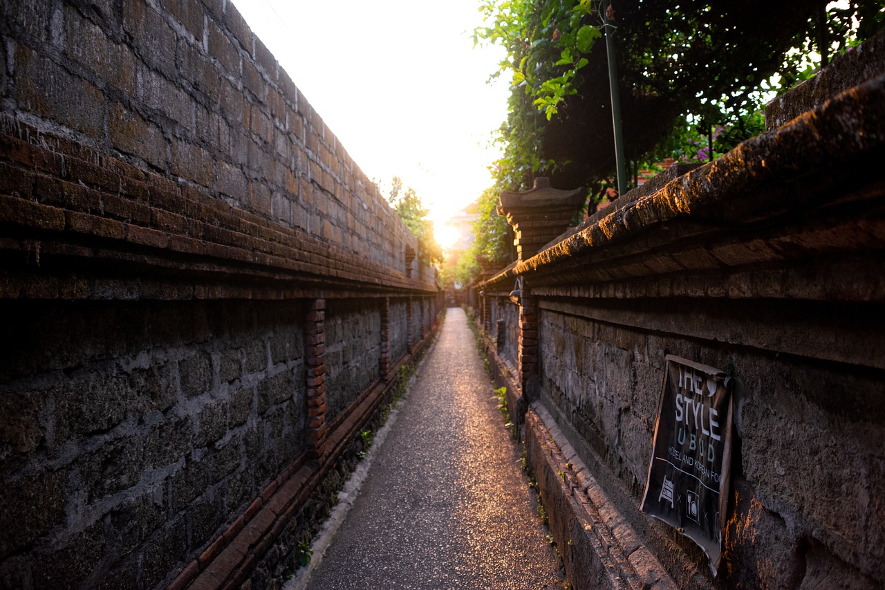 5 Dias Incríveis em Ubud