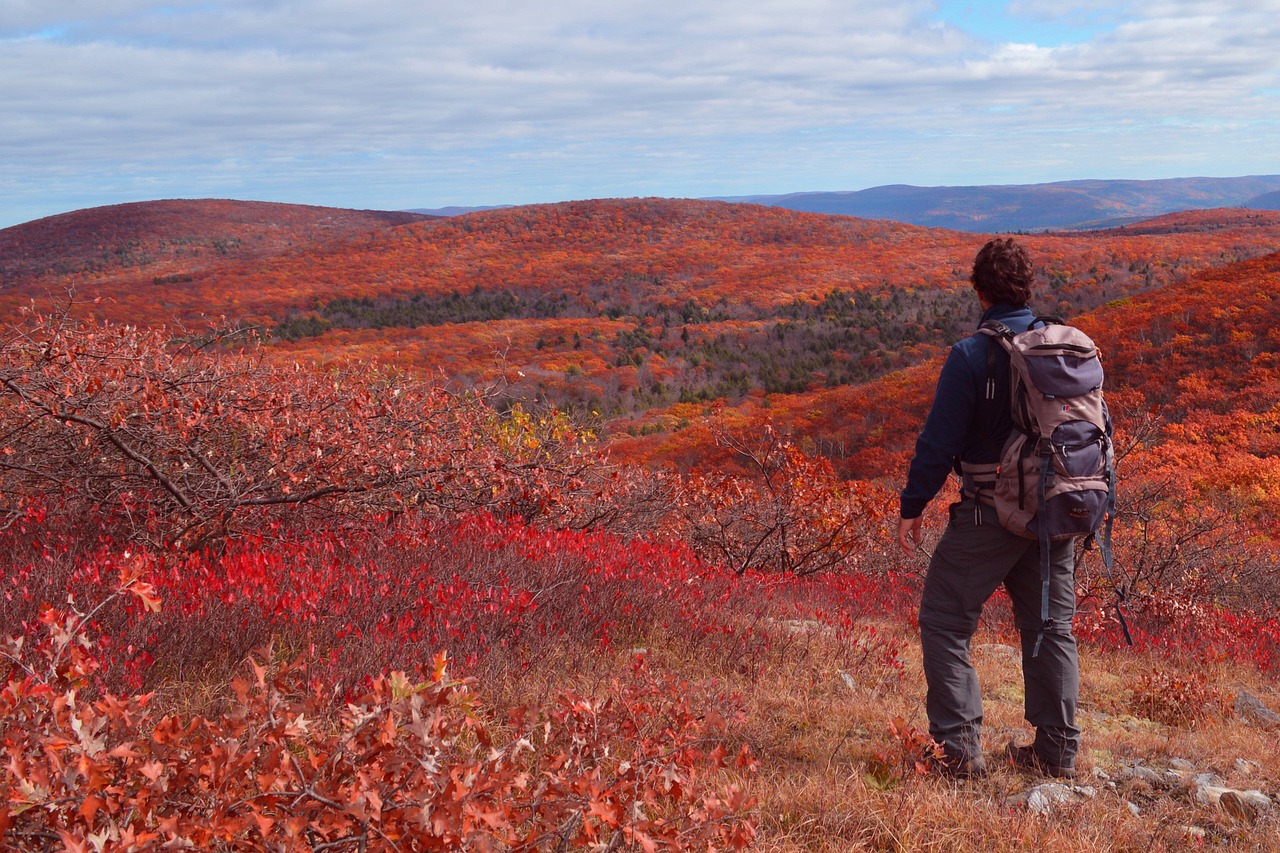 Upstate New York 4-Day Adventure