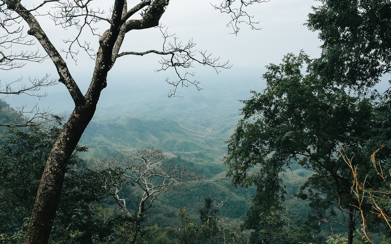 Scenic Adventure in Sajek Valley, Bangladesh