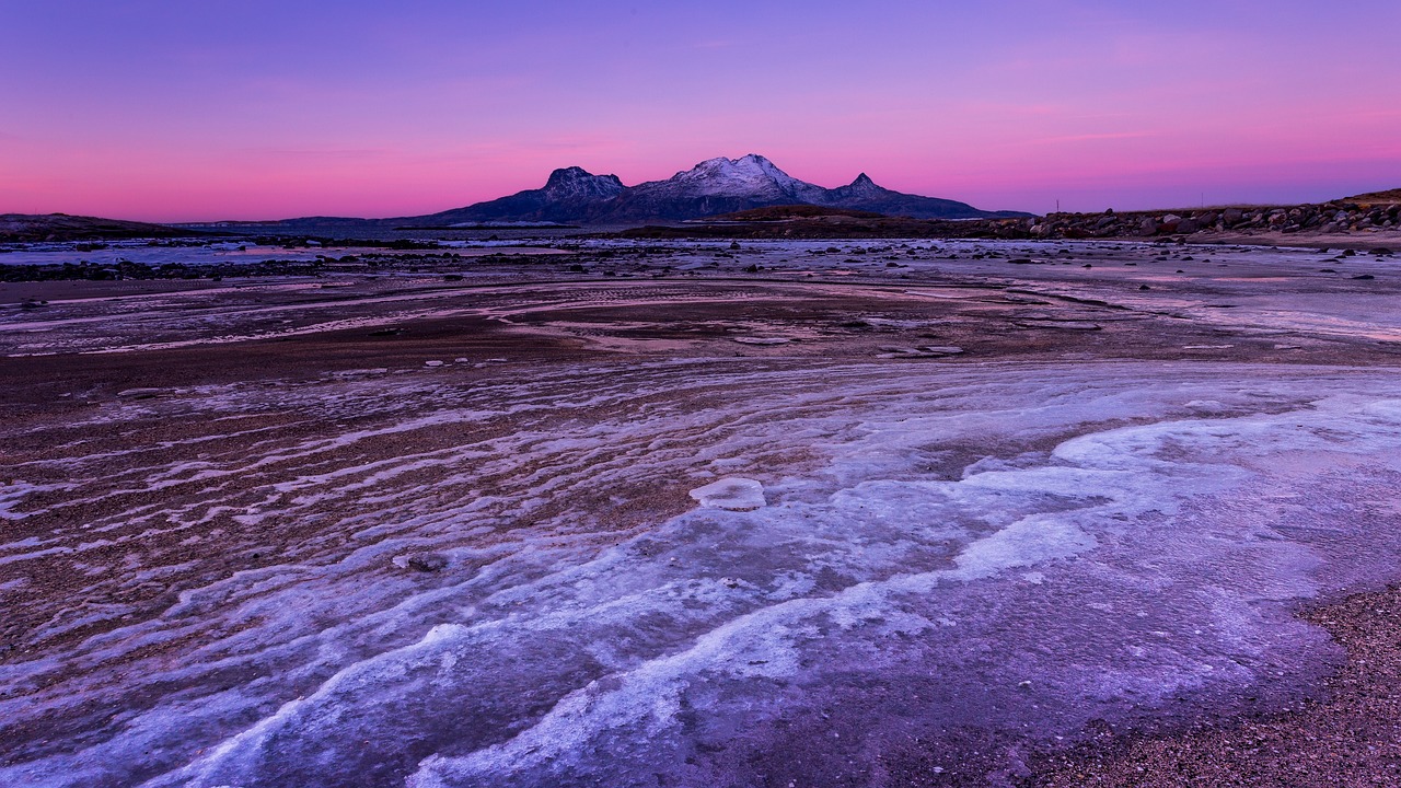 Exploring Bodø's Culinary and Cultural Delights