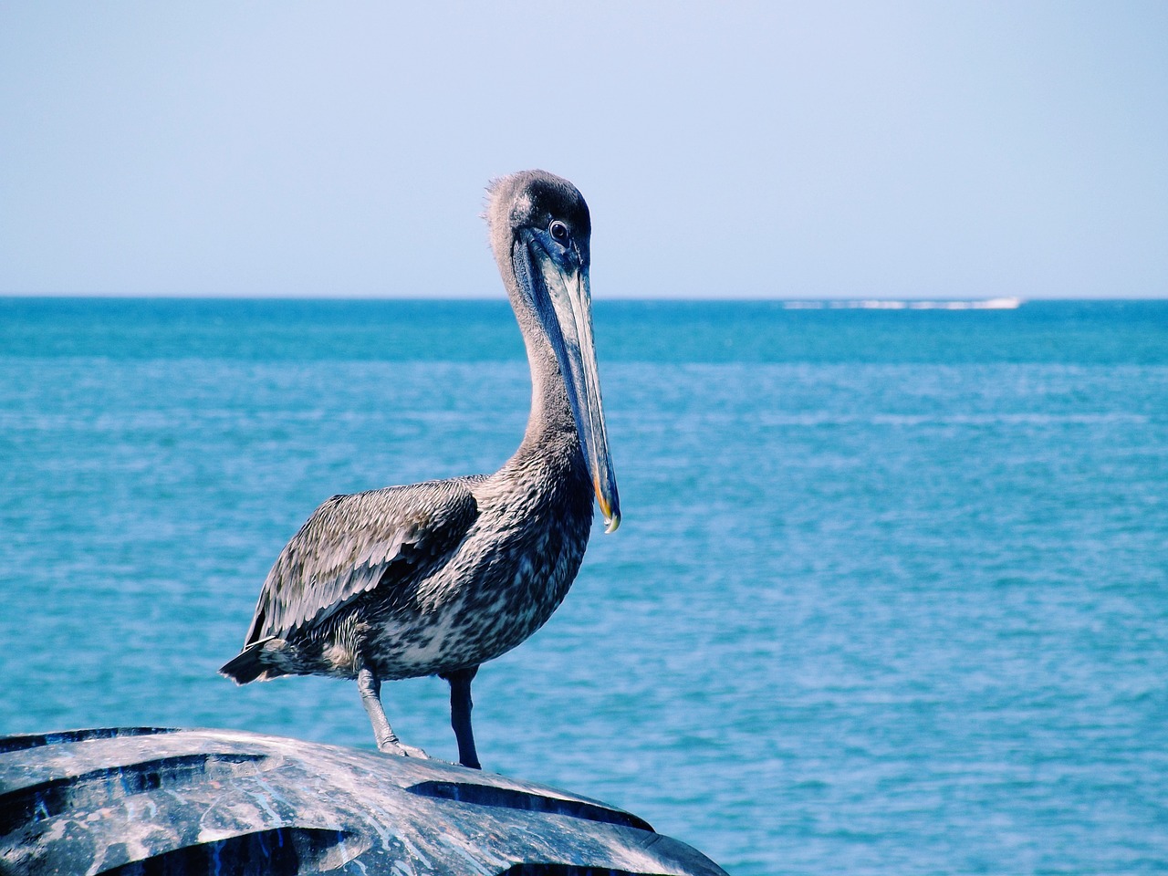 Cultural Heritage and Coastal Wonders in Joao Pessoa